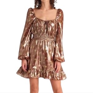 NWT Paige Noah Silk Blend A Line Dress in Bronze sz SMALL